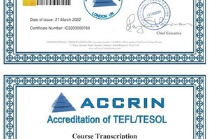 Сертификат TEFL/TESOL из Великобритании от организации ACCRIN UK. позволяющий мне официально преподавать английский... — Кочергин Владислав Олегович