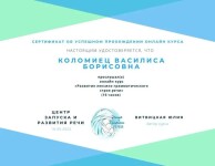 Диплом / сертификат №4 — Кочеткова Василиса Борисовна