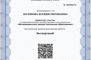 Диплом / сертификат №2 — Колобова Ксения Евгеньевна