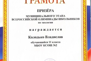 Диплом / сертификат №3 — Колодько Владислав Дмитриевич