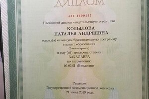 Диплом / сертификат №6 — Копылова Наталья Андреевна