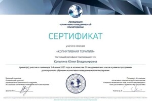 Диплом / сертификат №13 — Копытина Юлия Владимировна