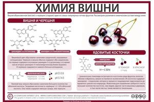 Учу видеть химию в жизни. — Корженевская Анастасия Андреевна