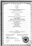 Диплом об окончании бакалавриата ФИЯР МГУ — Косарева Анастасия Николаевна