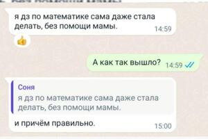 2023. — Косарева Дарья Сергеевна