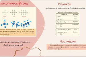 Портфолио №5 — Кошурникова Дарья Сергеевна