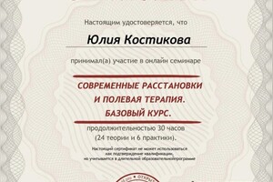 Диплом / сертификат №17 — Костикова Юлия Вячеславовна