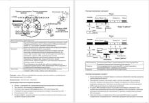 Портфолио №1 — Ковалева Анна Андреевна