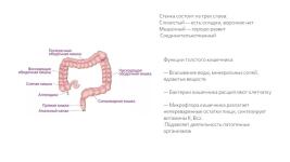 Портфолио №4 — Ковалева Анна Андреевна