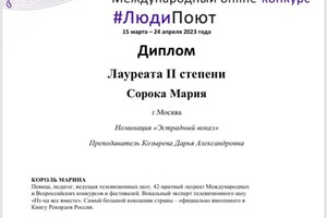 Диплом / сертификат №38 — Козырева Дарья Александровна