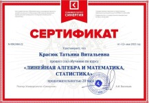 Диплом / сертификат №14 — Красюк Татьяна Витальевна