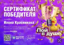 Диплом / сертификат №2 — Красникова Илона Александровна