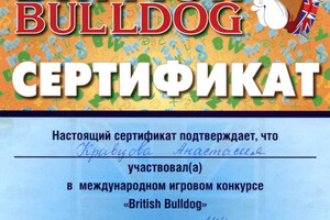 Сертификат участника конкурса British Bulldog — Кравцова Анастасия Александровна