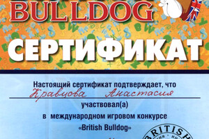 Сертификат участника конкурса British Bulldog — Кравцова Анастасия Александровна