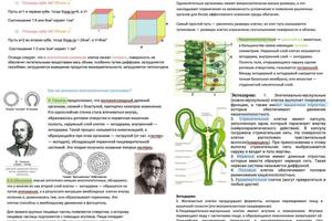 Портфолио №2 — Кучерова Александра Сергеевна