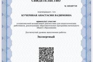 Диагностика учителей МЦКО 2024 год — Кучерявая Анастасия Вадимовна