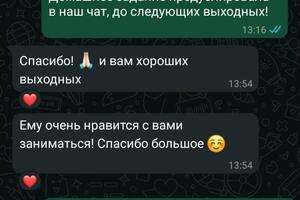 Отзыв от мамы мальчика 3 класс. За несколько месяцев с нуля: выучили правила чтения и улучшили этот навык, работает с... — Кудрявцева Лада Руслановна