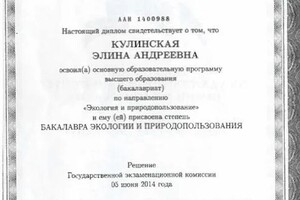 Диплом / сертификат №2 — Кулинская Элина Андреевна