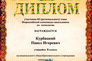 Диплом участника регионального этапа Всероссийской олимпиады школьников — Курбацкий Павел Игоревич