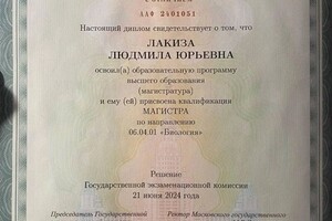 Диплом / сертификат №7 — Лакиза Людмила Юрьевна