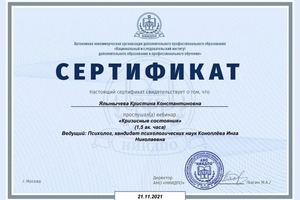 Диплом / сертификат №11 — Лебедева Кристина Константиновна