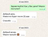 Готовились к экзамену для поступления в профильный класс. — Лепихина Виктория Сергеевна