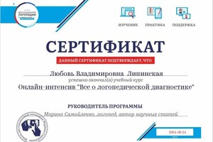 Диплом / сертификат №14 — Липинская Любовь Владимировна