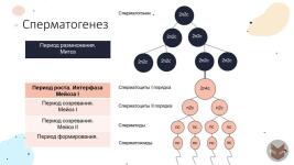 Портфолио №1 — Локута Глеб Сергеевич