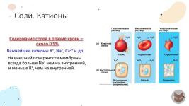 Портфолио №2 — Локута Глеб Сергеевич