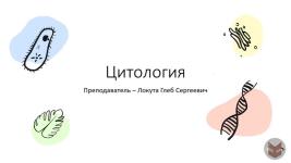 Портфолио №3 — Локута Глеб Сергеевич