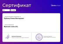 Диплом / сертификат №2 — Лубенец Роман Викторович