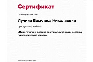 Сертификат участника вебинара — Лучина Василиса Николаевна