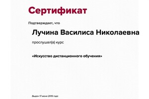 Сертификат участника курса вебинаров — Лучина Василиса Николаевна