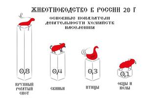 Портфолио №4 — Луковникова Светлана Романовна