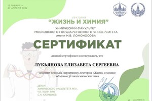 Диплом / сертификат №20 — Лукьянова Елизавета Сергеевна