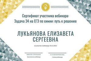 Диплом / сертификат №25 — Лукьянова Елизавета Сергеевна