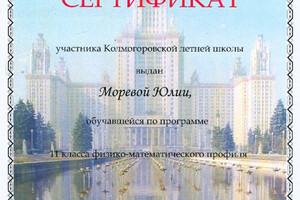 Сертификат об участии в Колмогоровской летней школе — Лымарь Юлия Геннадьевна