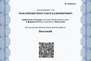 Диплом / сертификат №2 — Макарихин Ярослав Владимирович