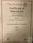 The StayAcademy certificate of attendance — Макарова Карина Ивановна