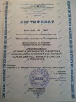 Диплом / сертификат №11 — Макеева Анастасия Газинуровна