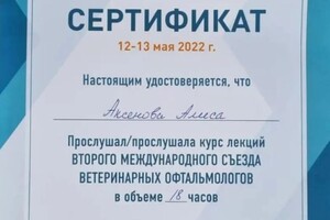 Диплом / сертификат №24 — Аксенова Алиса Александровна