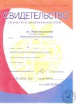 Участница заключительного этапа Всероссийской олимпиады школьников по обществознанию — Малышева Елена Вадимовна