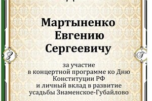 Диплом / сертификат №20 — Мартыненко Евгений Сергеевич