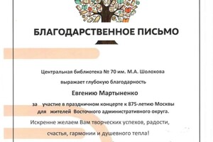 Диплом / сертификат №49 — Мартыненко Евгений Сергеевич