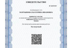 Прошла независимую диагностику ЕГЭ по химии на экспертный уровень — Мартынова Екатерина Ивановна