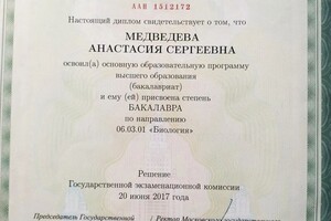 Диплом / сертификат №1 — Медведева Анастасия Сергеевна