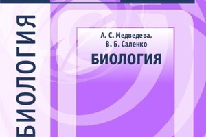 Диплом / сертификат №4 — Медведева Анастасия Сергеевна