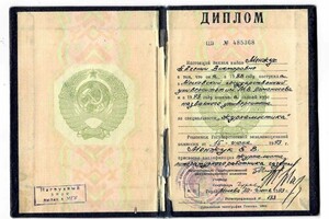 Диплом / сертификат №2 — Менжук Евгения Викторовна