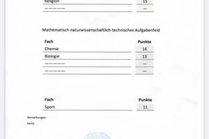 Первое полугодие 12 класса в Немецкой Школе в Москве (Deutsche Schule Moskau) — Минько Ольга Сергеевна