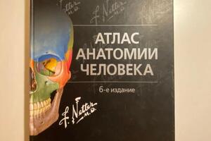 Занятия по анатомии - по лучшему анатомическому атласу Ф. Неттера. С ним я сдавала анатомию и топографическую анатомию... — Миропольская Кристина Юрьевна